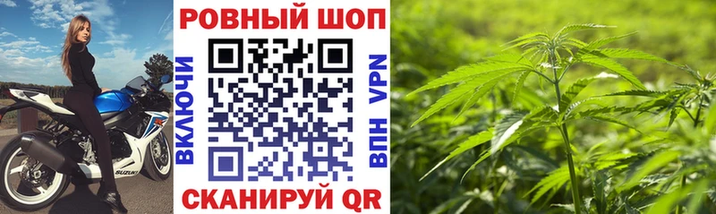 Где купить наркоту Санкт-Петербург СК  Метадон  КОКАИН  ГАШ  Марихуана  Мефедрон 