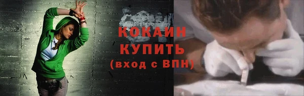 стаф Богородицк