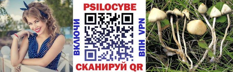 продажа наркотиков  Санкт-Петербург  Галлюциногенные грибы Magic Shrooms 